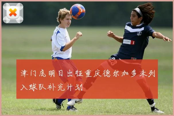 津门虎明日出征重庆德尔加多未列入球队补充计划