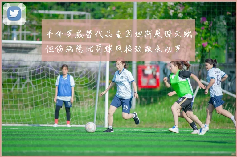 平价罗威替代品奎因坦斯展现天赋但伤病隐忧罚球风格致敬米切罗